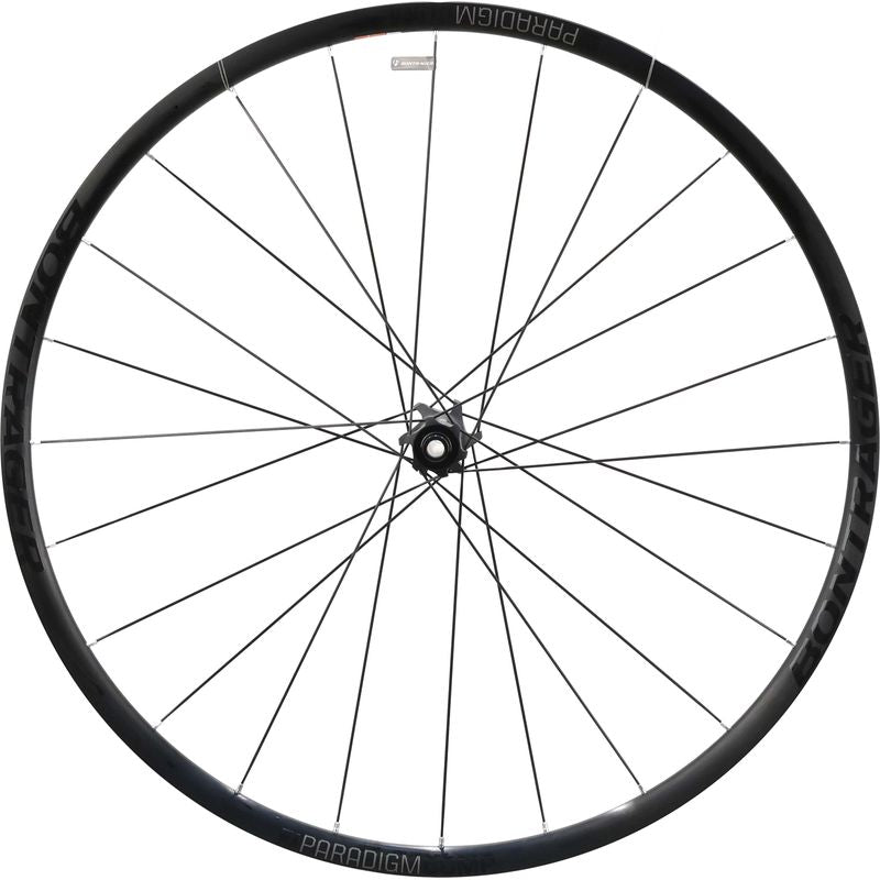 Bontrager Paradigm Comp Disc Front Wheel, 700c, 12x100mm Thru Axle