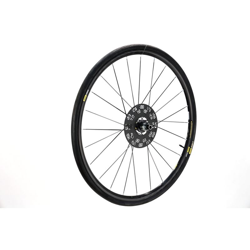 Mavic Aksium Disc Road Rear Wheel, 700c, Aluminum, Clincher, 12x142mm TA,  24H,CL